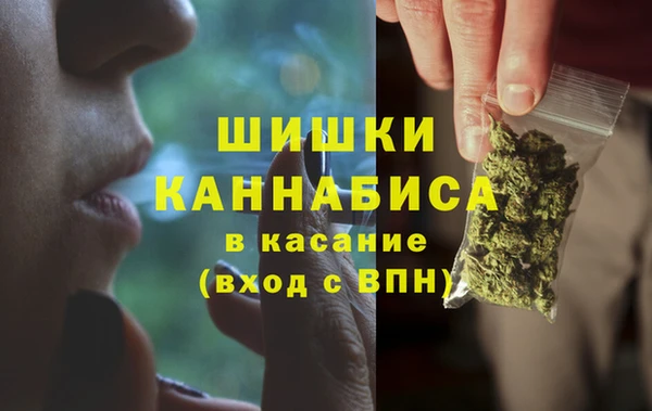 spice Богородск
