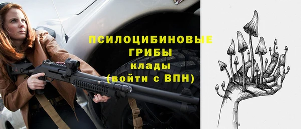 МДПВ Богородицк