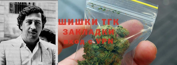 spice Богородск
