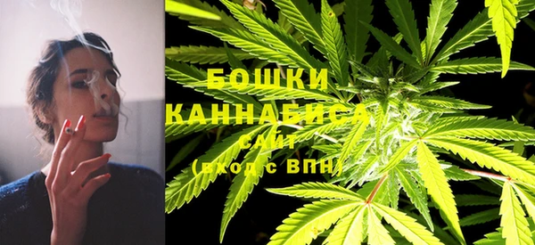 МДПВ Богородицк