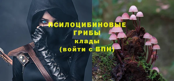 spice Богородск