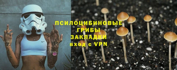 бутират Богданович
