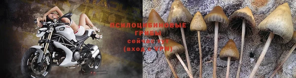 бутират Богданович